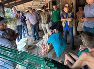 Defensoria P&uacute;blica do Maranh&atilde;o participa de visita t&eacute;cnica para media&ccedil;&atilde;o de conflito fundi&aacute;rio na zona rural de Carolina