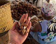 Defensorias nos Baba&ccedil;uais leva acesso &agrave; Justi&ccedil;a e cidadania a comunidades de quebradeiras de coco no Maranh&atilde;o, Piau&iacute; e Tocatins