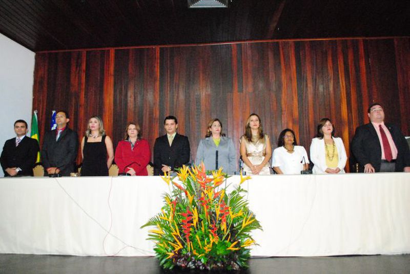 Posse defensores-VII