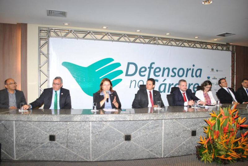 Defensoria no Cárcere 2015