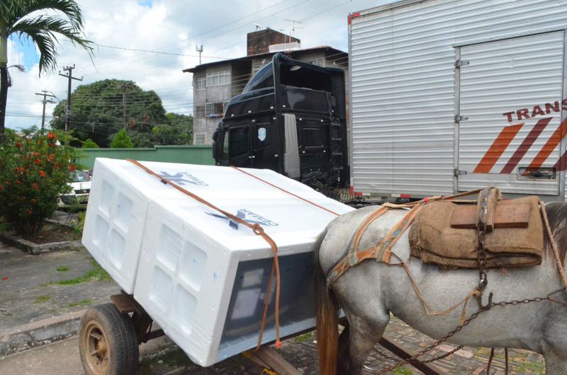 DPE e Cemar entregam geladeiras para comunidades II